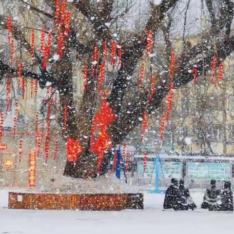 争分夺秒  不负韶华