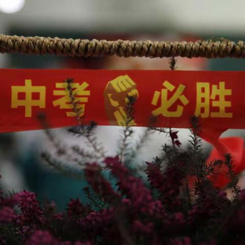 鲜衣怒马，烈焰繁花…—————实验中学九年十班中考百日誓师大会