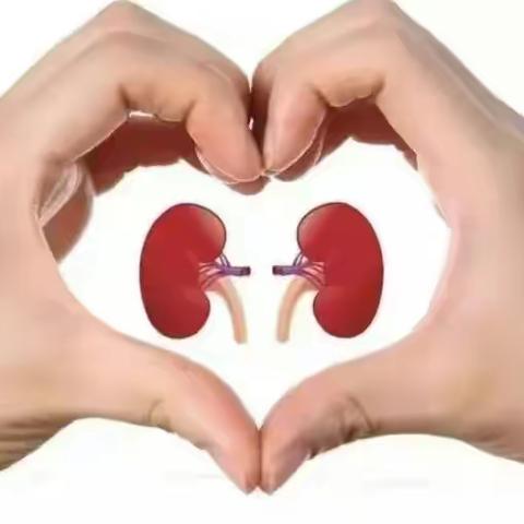 【宫尹小学】关注肾脏  呵护健康