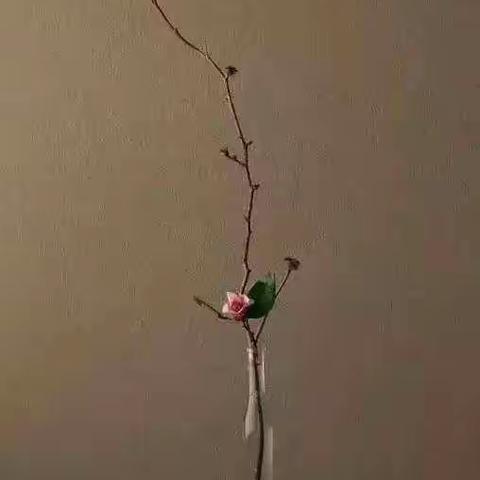 南柯一梦
