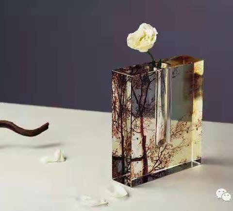 淡淡的拥有