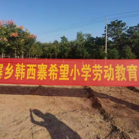 劳动砺心智,实践促成长——韩西寨希望小学劳动实践基地