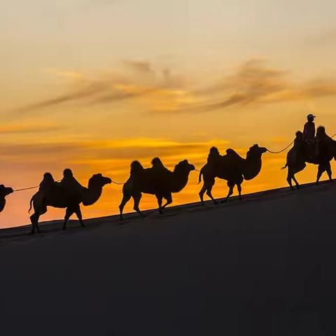 大漠光影（之二）——巴丹吉林沙漠