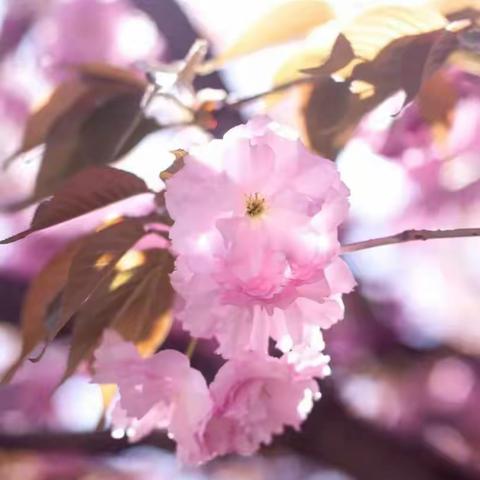 有您的守候真好