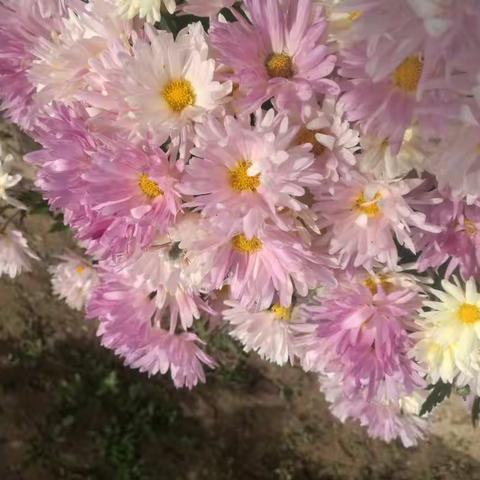 等你的季节