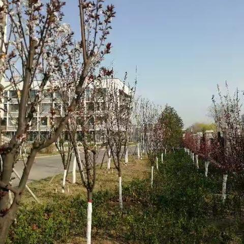 时光不语， 静待花开——新元学校空天学院前记。