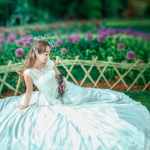 美丽的葱花