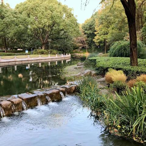 疫情下的日子（七）——十一月的生活碎片（一）