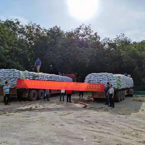 2022年保亭县化肥减量增施有机肥提升有机质项目物资发放活动现场