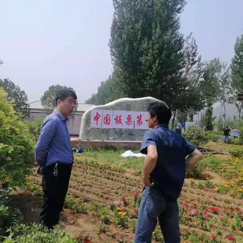 善治创造家乡美 产业强镇开新篇