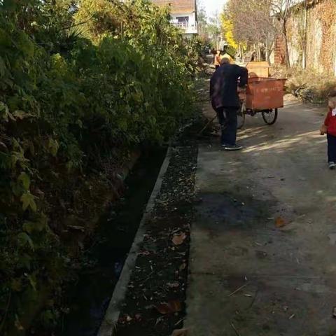 东大街道“清洁乡村”行动进行中（第三十一期）