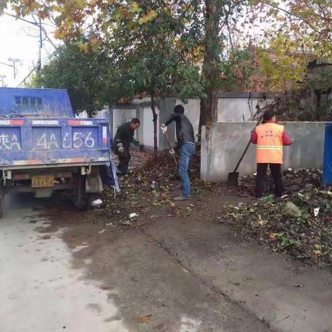 东大街道“清洁乡村”行动进行中（第三十期）