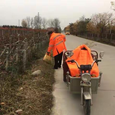 东大街道“清洁乡村”行动进行中（第二十九期）