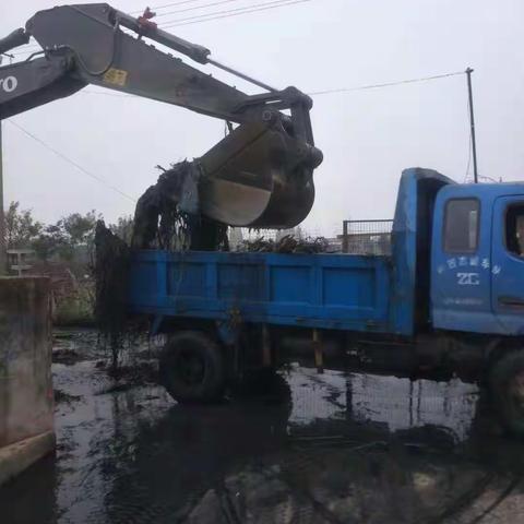 东大街道“清洁乡村”行动进行中（第二十六期）