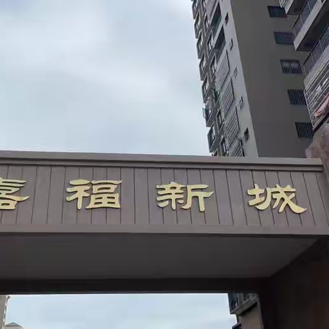 众志成城齐抗疫 戮力同心守家园——茂南区羊角镇棫朴小学“首善先锋”志愿服务队简讯