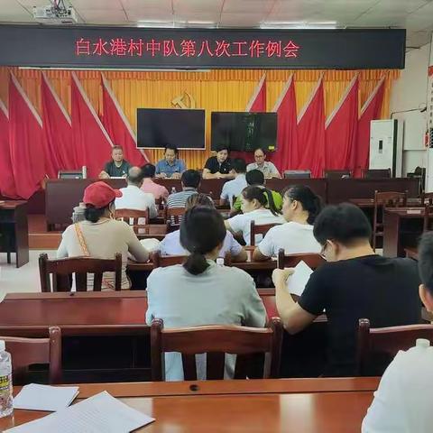 白水港村中队第八次工作例会