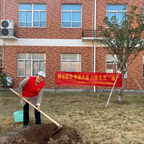 银校联动，党建共建——建行奉化支行联动莼湖中心小学开展植树活动