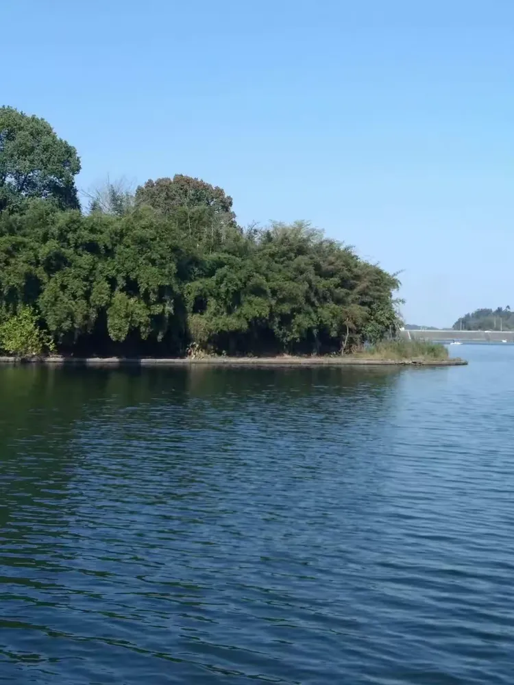 永川区圣水湖桃花岛,卫星湖桃花岛