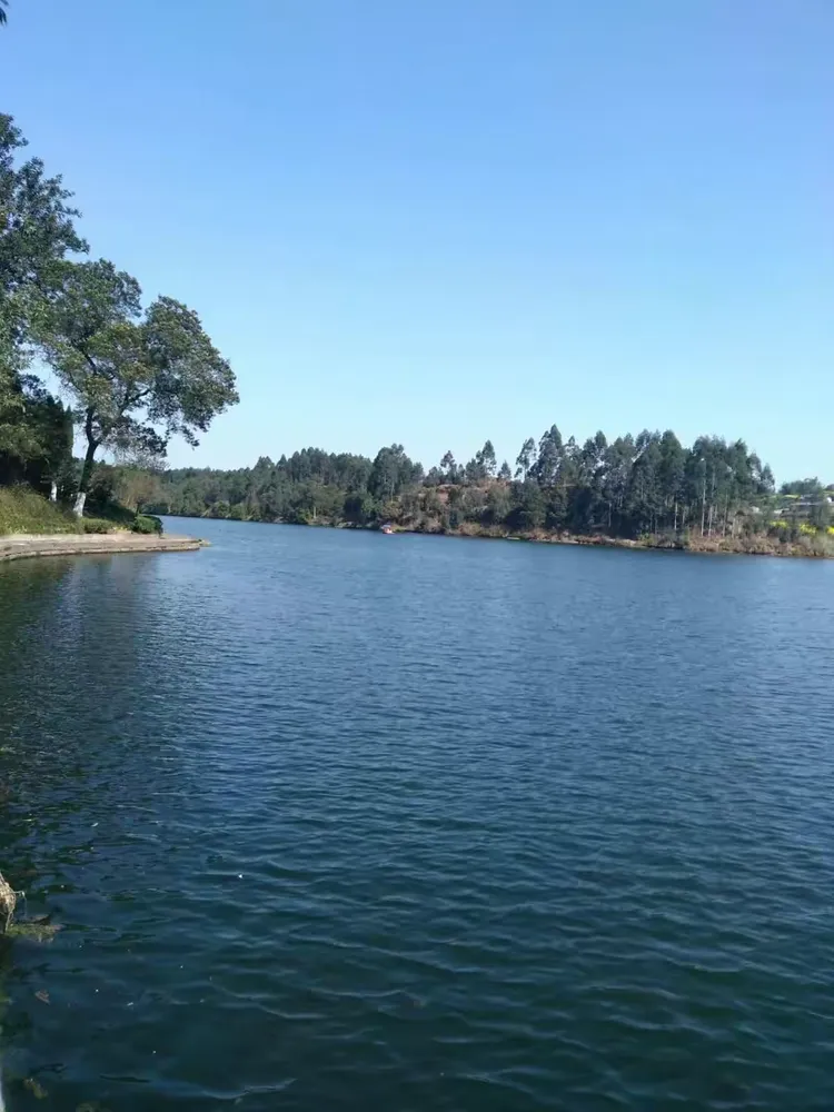 永川区圣水湖桃花岛,卫星湖桃花岛
