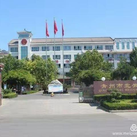 智慧简约课堂——高效课堂践行者