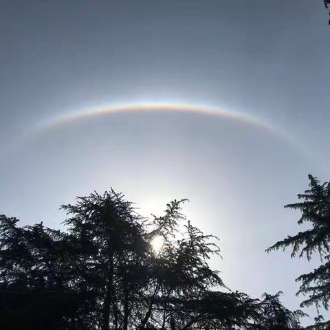 『彩虹🌈一样的四月』——大二班