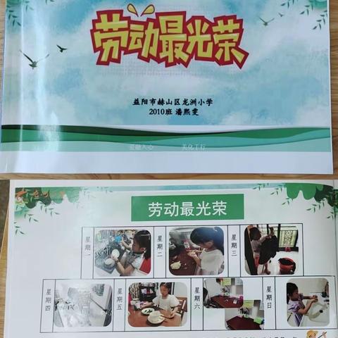 益阳市赫山区龙洲小学2010班2021年度暑假优秀作业