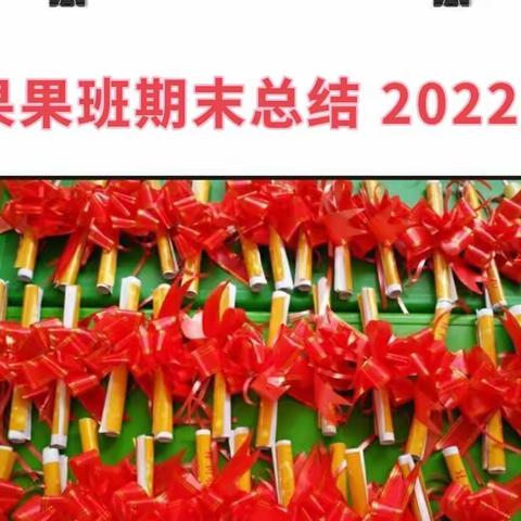 章华镇胜峰中心幼儿园果果班 2022下学期期末综合素质评价