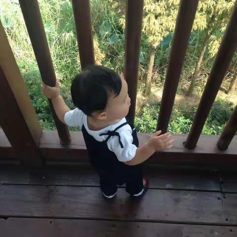 妙言妙语