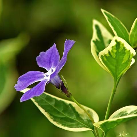 想明白了，你就再也不会生气了（好文）