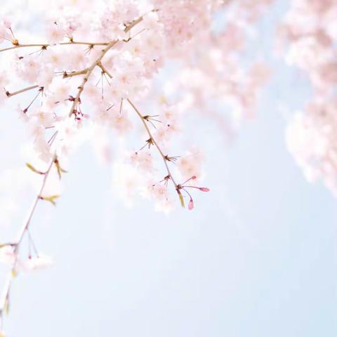 宝鸡神州旅游蔡家坡网点的美篇