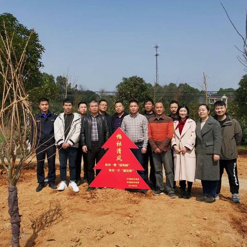 植树扬清风，造林树正气！柏社乡党员干部种出一片“廉洁林”