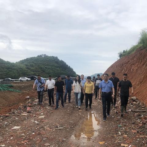 【项目考察记】步履不停，深入交流——柏社乡全力助推投资5.5亿农旅项目落地