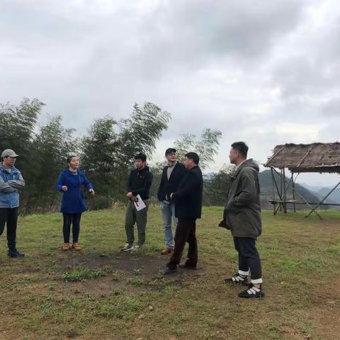 立诺·立行④ |柏社乡与中国美院洽谈文旅合作项目