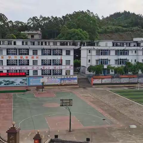 规范语言文字，共创书香校园——大垌镇中心小学语言文字规范化建设工作纪实