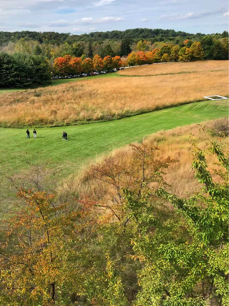 图说异乡的记忆——温新莎森林公园