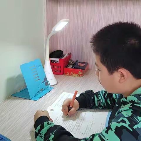 （张琦）居家疫情生活