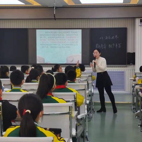 精雕细琢展风采，磨课教研助提升——东风小学导师团队一课三磨活动