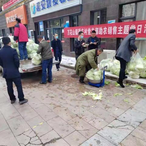 【我为群众办实事】区文旅局驻村工作队：为菜农解忧 助力蔬菜销售