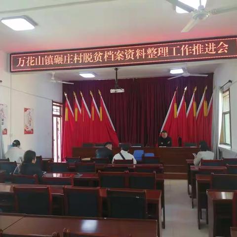 万花山镇碾庄村脱贫档案资料整理工作推进会