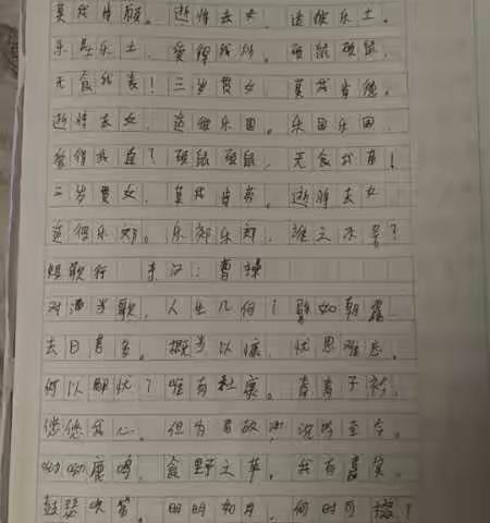 泗洪县朱湖实验学校九年级好作业