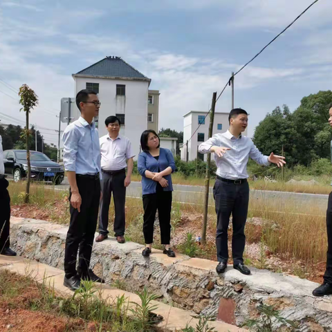 助力乡村振兴：何云峰到村查看重点项目建设情况