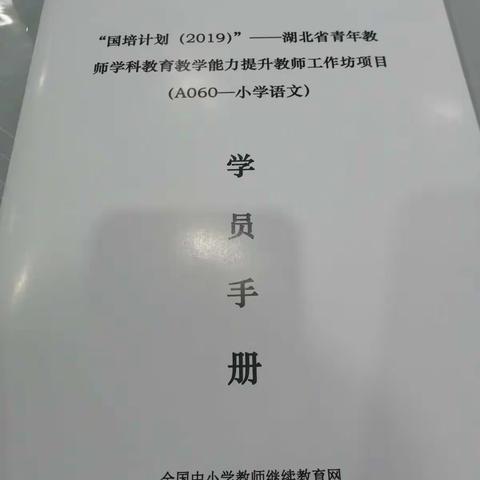 湖北省青年教师学科教育教学能力提升教师工作坊项目