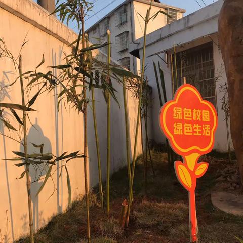 今天，你植树了么？——记赣县区小坌中心学校3.12植树活动