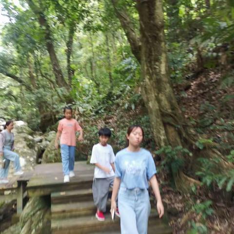 202107水满登山口栈道