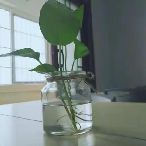 Reading tree儿童绘本托管中心，这个夏天，我们在这里等你