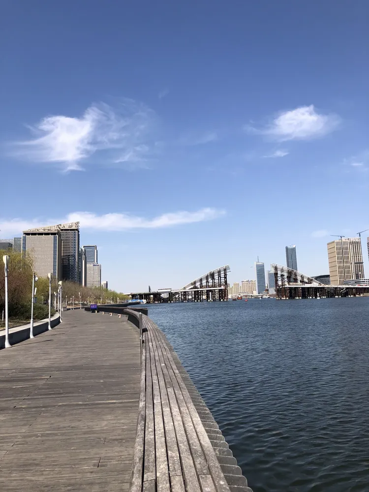 彩带公园海河景色