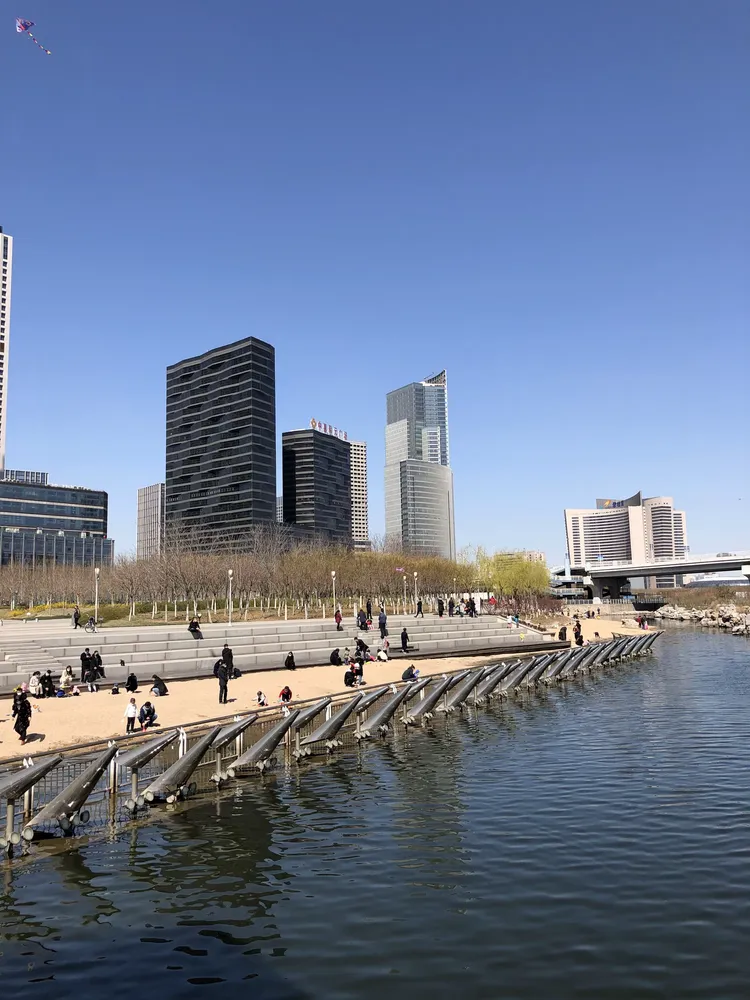 彩带公园海河景色