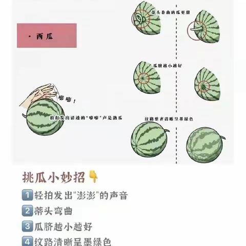 西瓜挑选方法图解