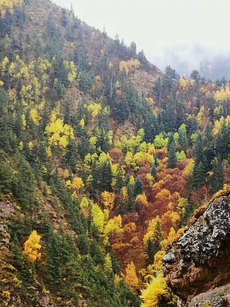 幽静的门源东海大峡谷