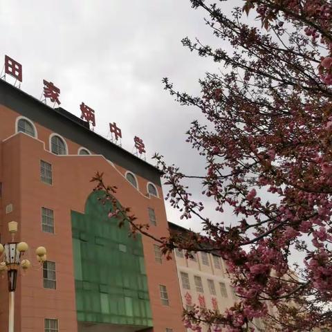 最美四月天，奋斗正当时——白水田中四月教学工作会简要